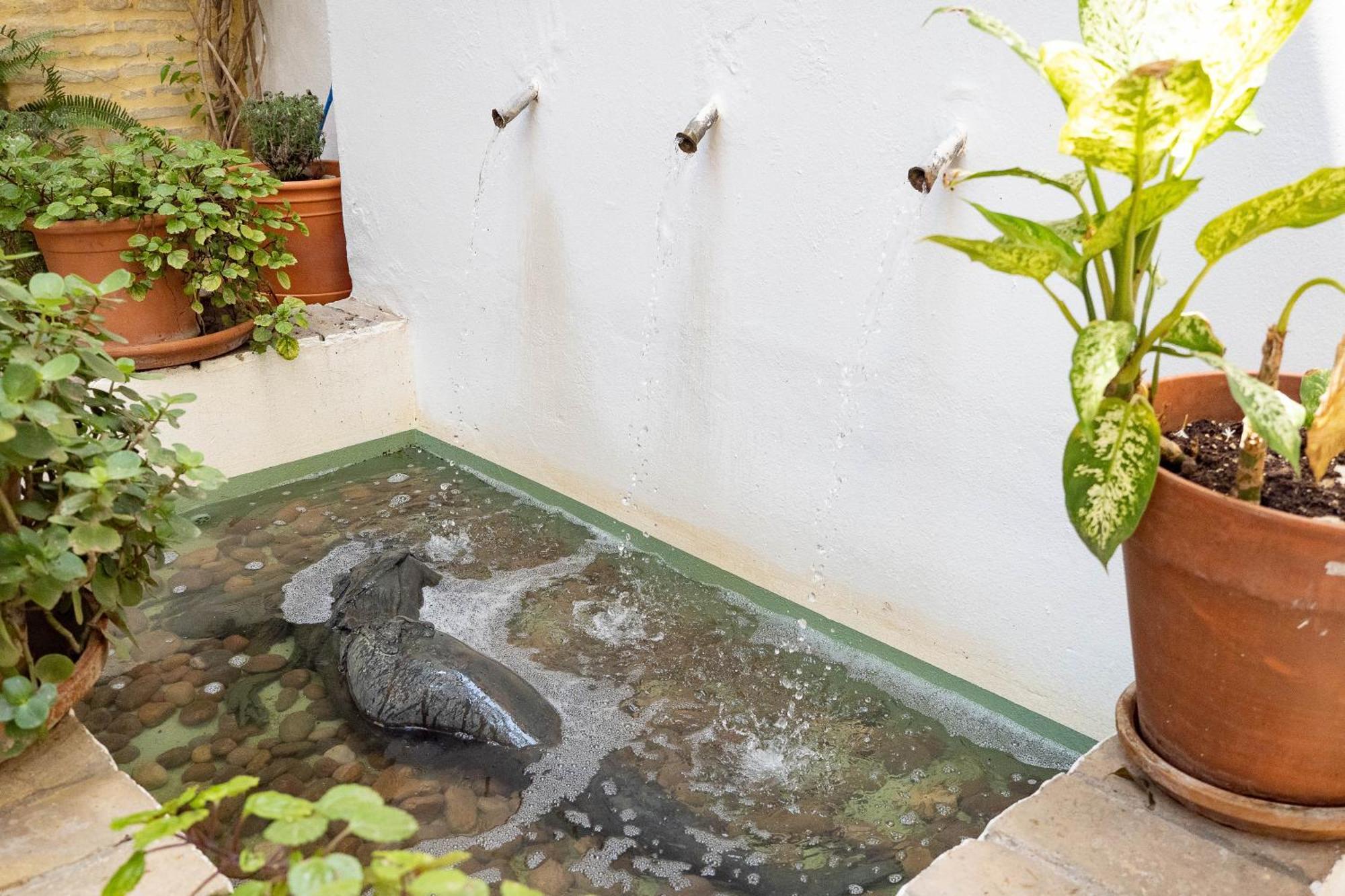 Bed and Breakfast La Casa 1832 Boutique Sanlúcar de Barrameda Exteriér fotografie